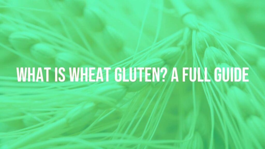 A close-up of wheat gluten strands, elastic and shiny, with wheat kernels in the background, soft natural lighting, realistic.