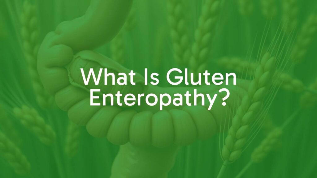 A close-up illustration of a damaged small intestine showing flattened villi, wheat stalks in the background, medical and nutritional theme, soft realistic colors.