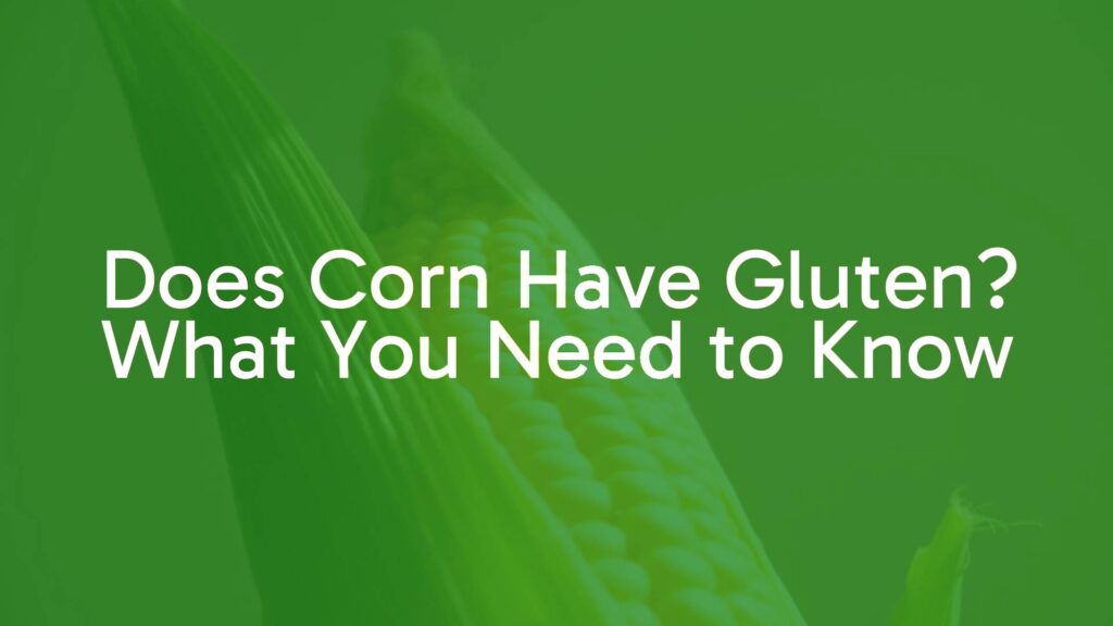 A close-up of fresh corn on the cob with husks partially peeled back, natural sunlight, gluten-free tag, simple and clear background.